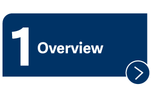 Overview button