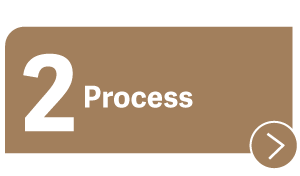 Process button