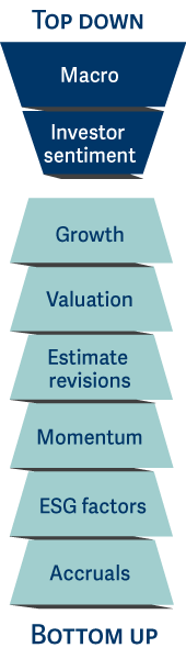 Top down: Macro, Investor sentiment. Bottom up: Growth, Valuation, Estimate revisions, Momentum, ESG, Accruals