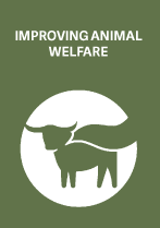 Improving animal welfare