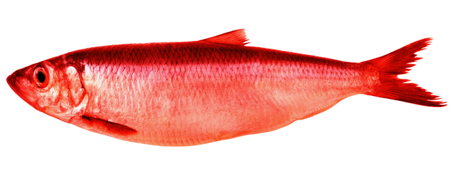 red herring
