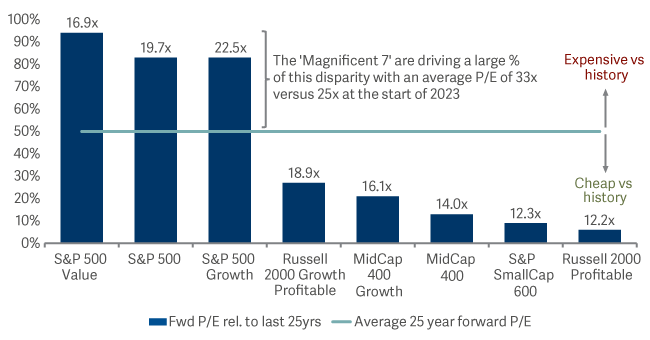 bar graph showing large vs mid cap relative valuations are at an historic extreme