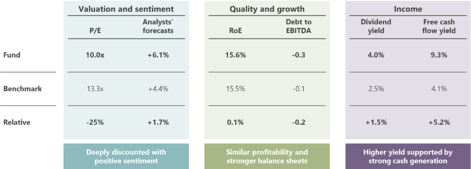 Key financial characteristics of the fund Key financial characteristics of the fund