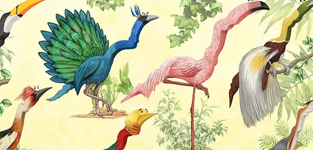 Profit Exotic Birds